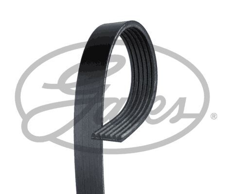 Gates 6PK1025 Alternatör Kayışı | VW Audi Seat Skoda Uyumlu